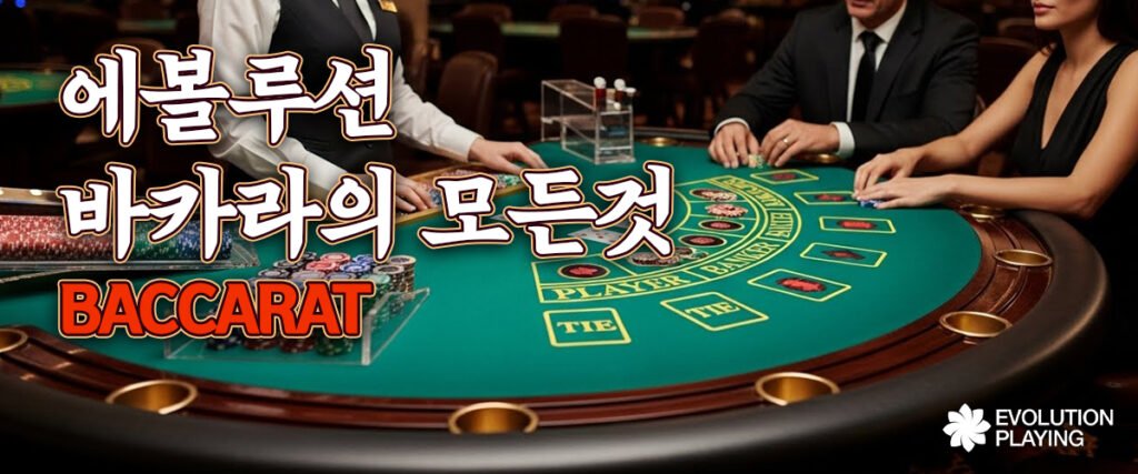 에볼루션바카라